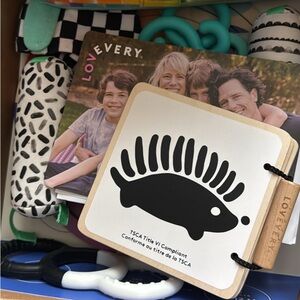 Lovevery “The Looker” Play kit